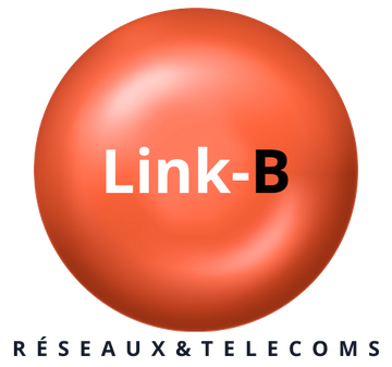 Link-B, réseaux et télécoms